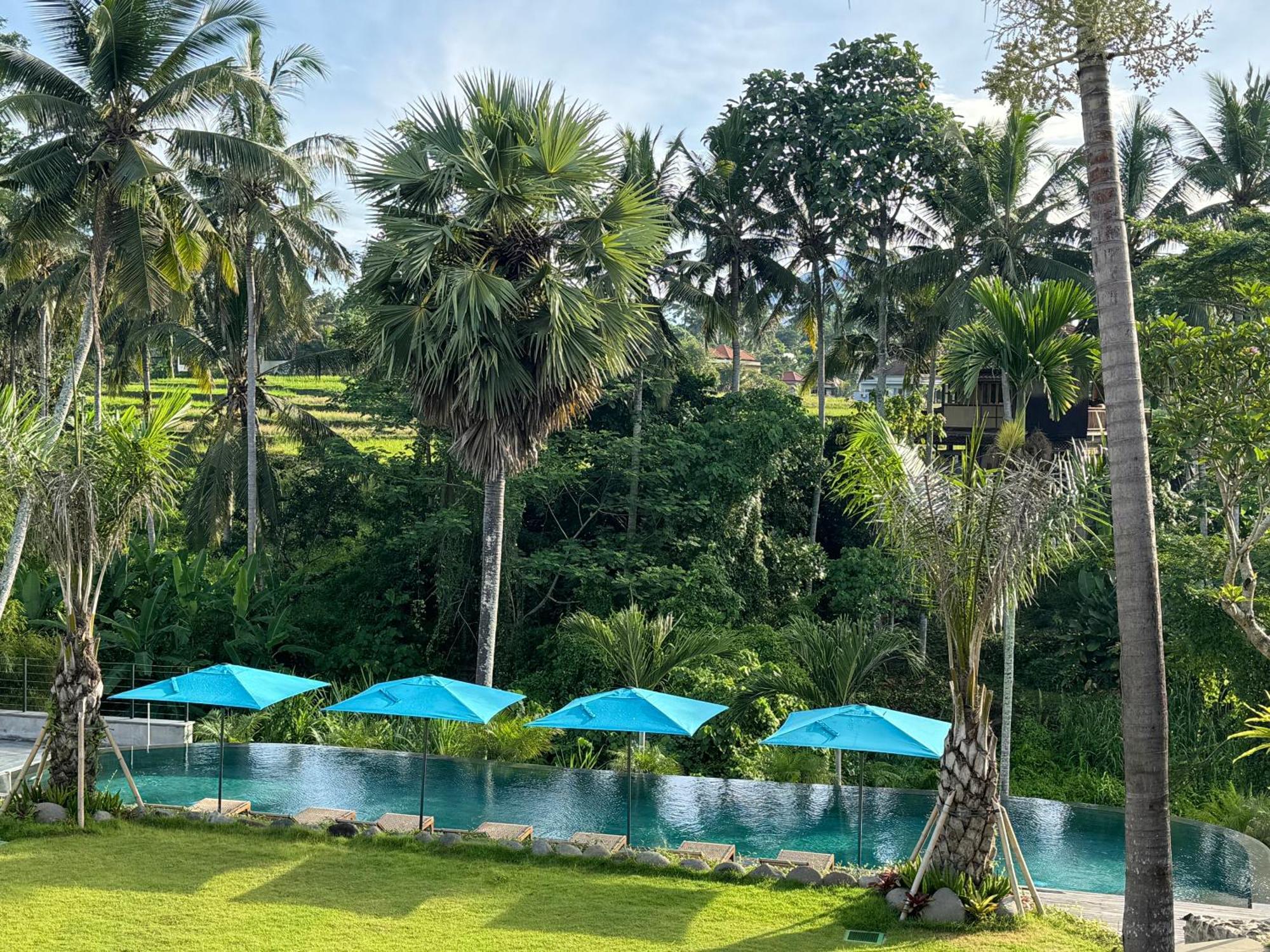 Rudra Sahashrara Bali - Ayurvedic - Health And Wellness Resort Ubud  Ngoại thất bức ảnh
